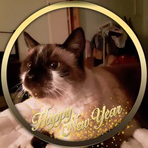 Meet your Posher, Deanna